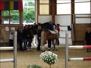 voltitag 2009 _CD1 083